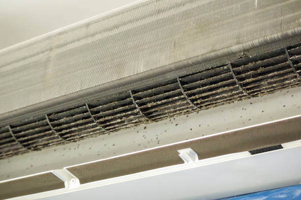 Best Air Duct Cleaning Near Me  in Port Orchard, WA